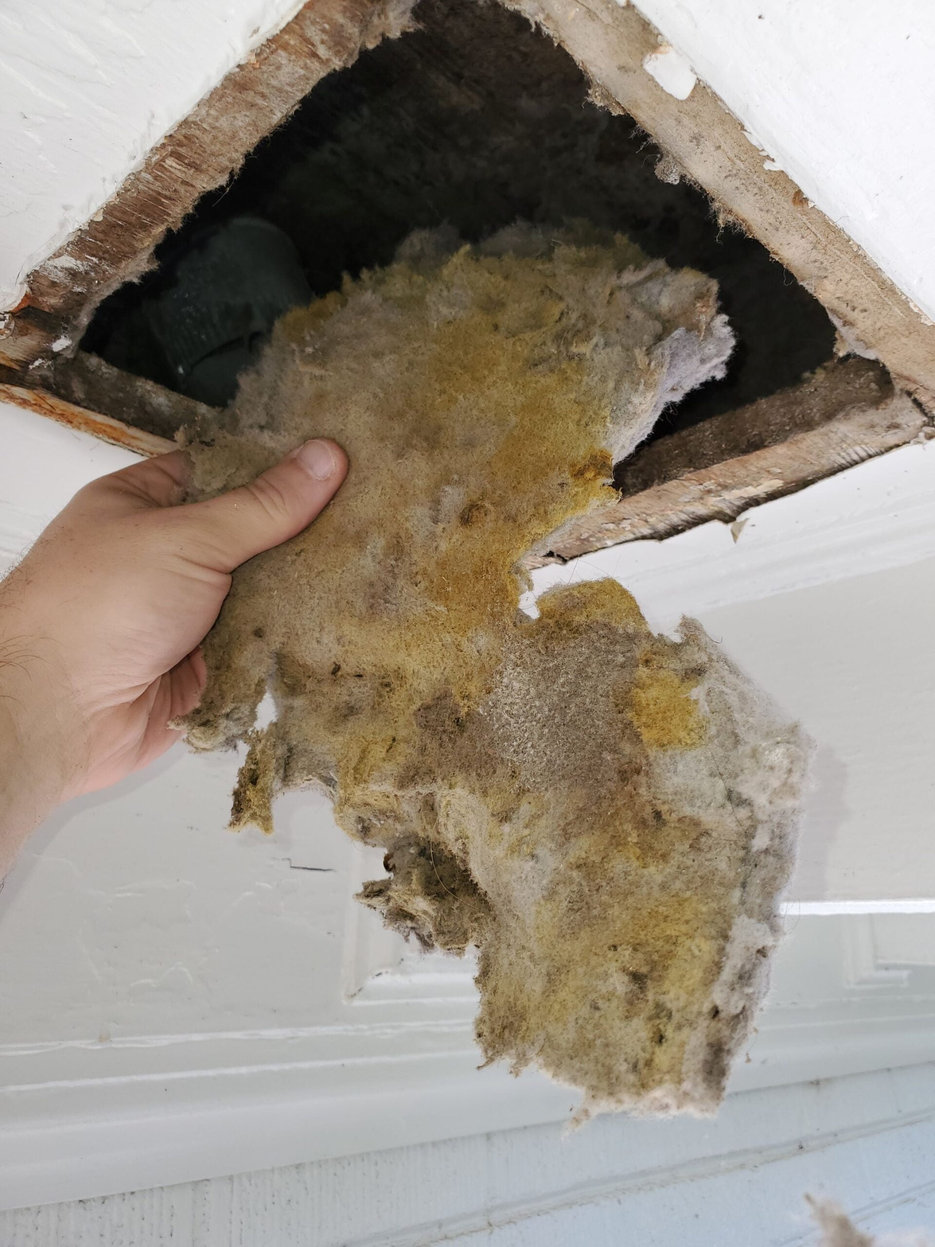 Wet Dryer Vent Why Does My Dryer Smell Bad? Vent Busters Dryer Vent