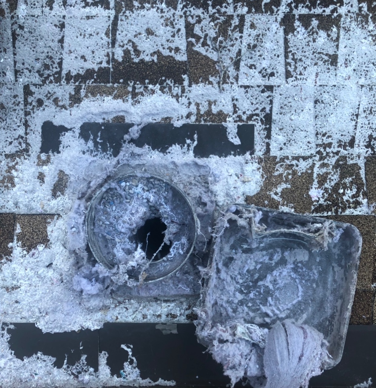 Professional Dryer Vent and Air Duct Cleaning Services. Serving the