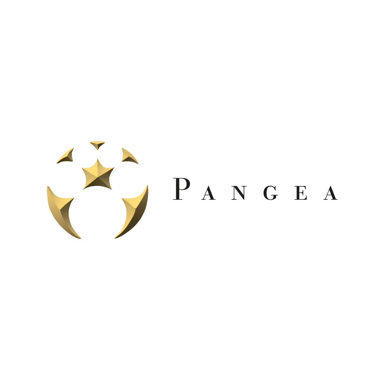 Pangea Syrah 2014 Ventisquero Wines