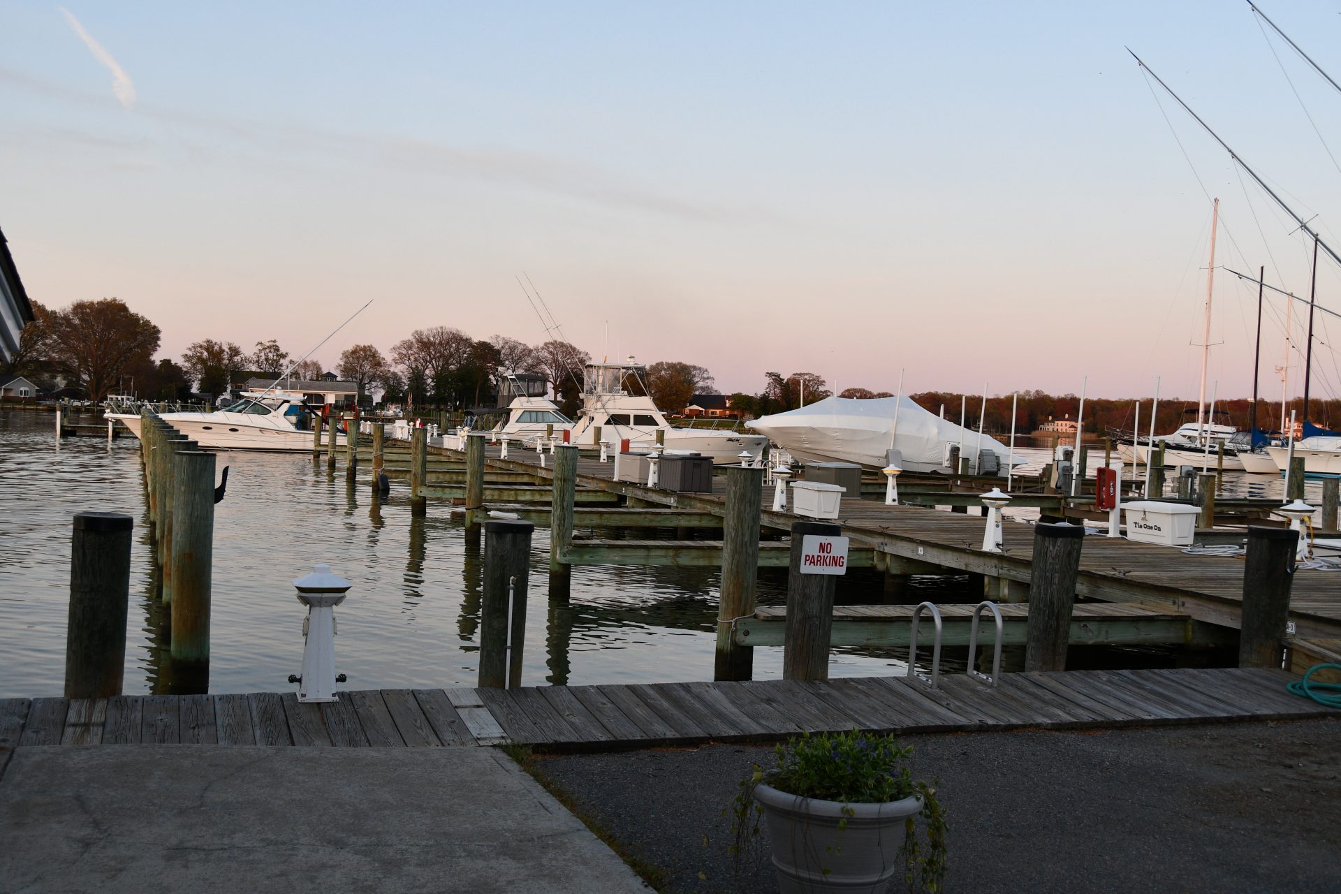 Gallery Ventnor Marina