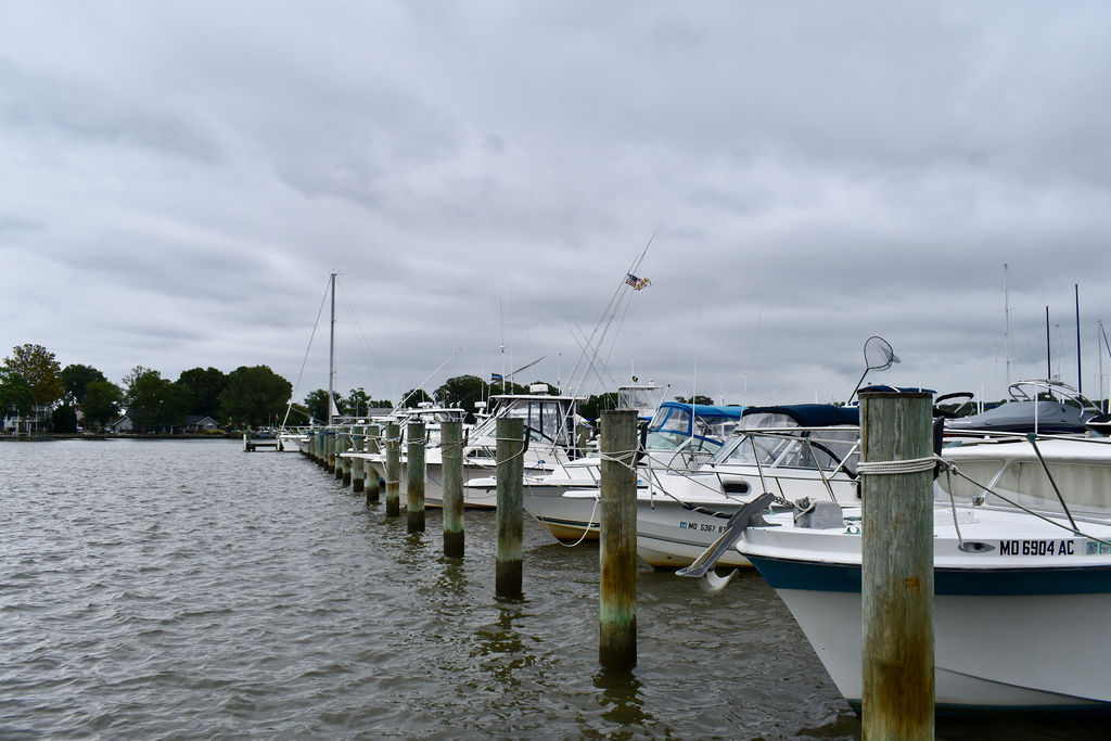 Boat Slips, Rates and Terms Ventnor Marina