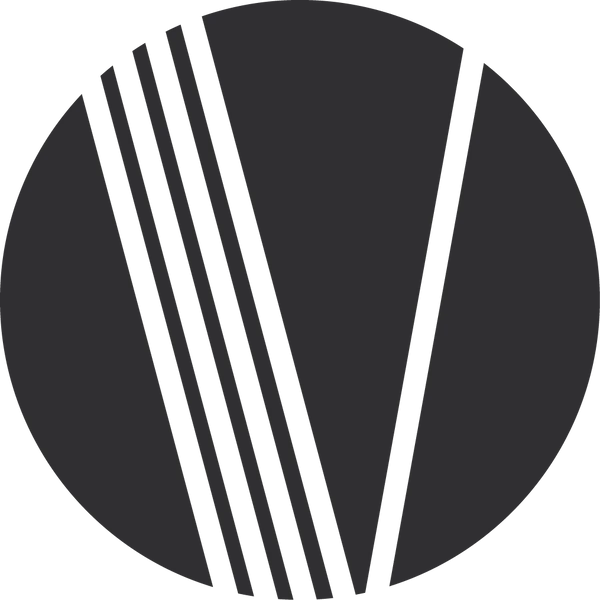 905 Cold Press Juicer Ventray USA Best Masticating Juicer Ginnie