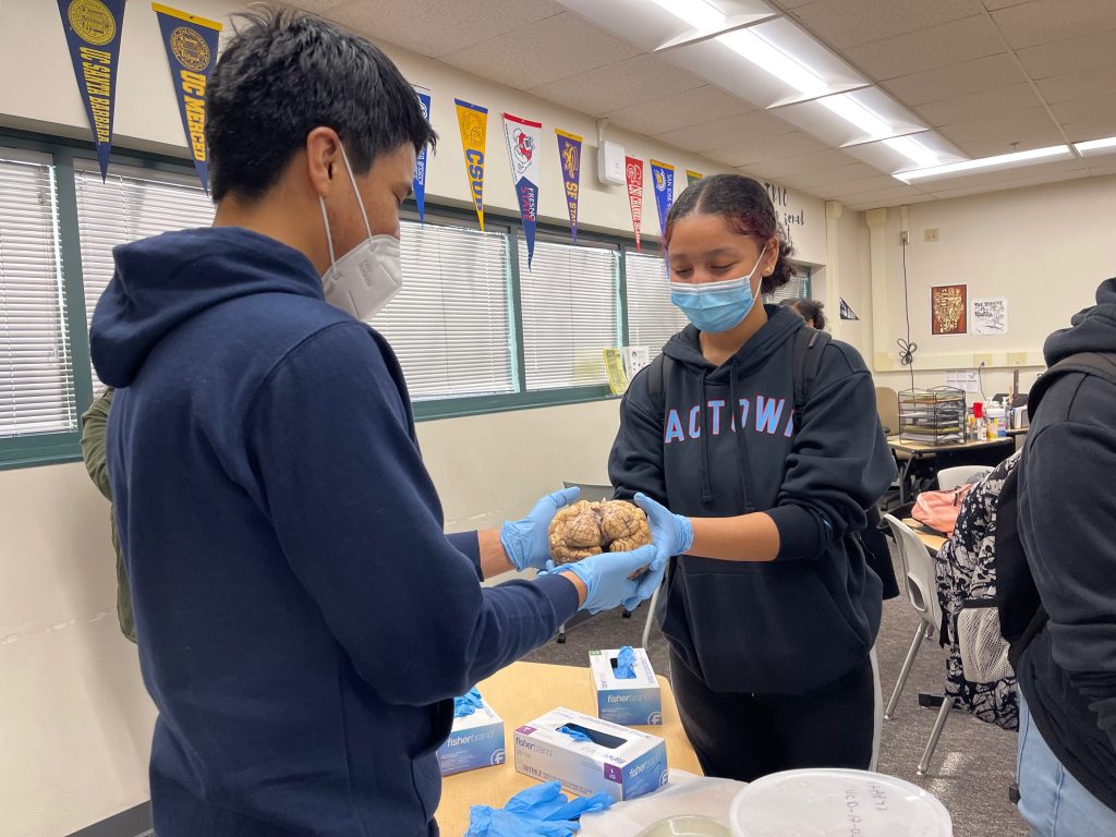 2022 Natomas High School The Ventricular Foundation