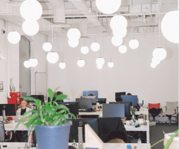 Budget Friendly Ideas For EcoFriendly Office Décor Vents About