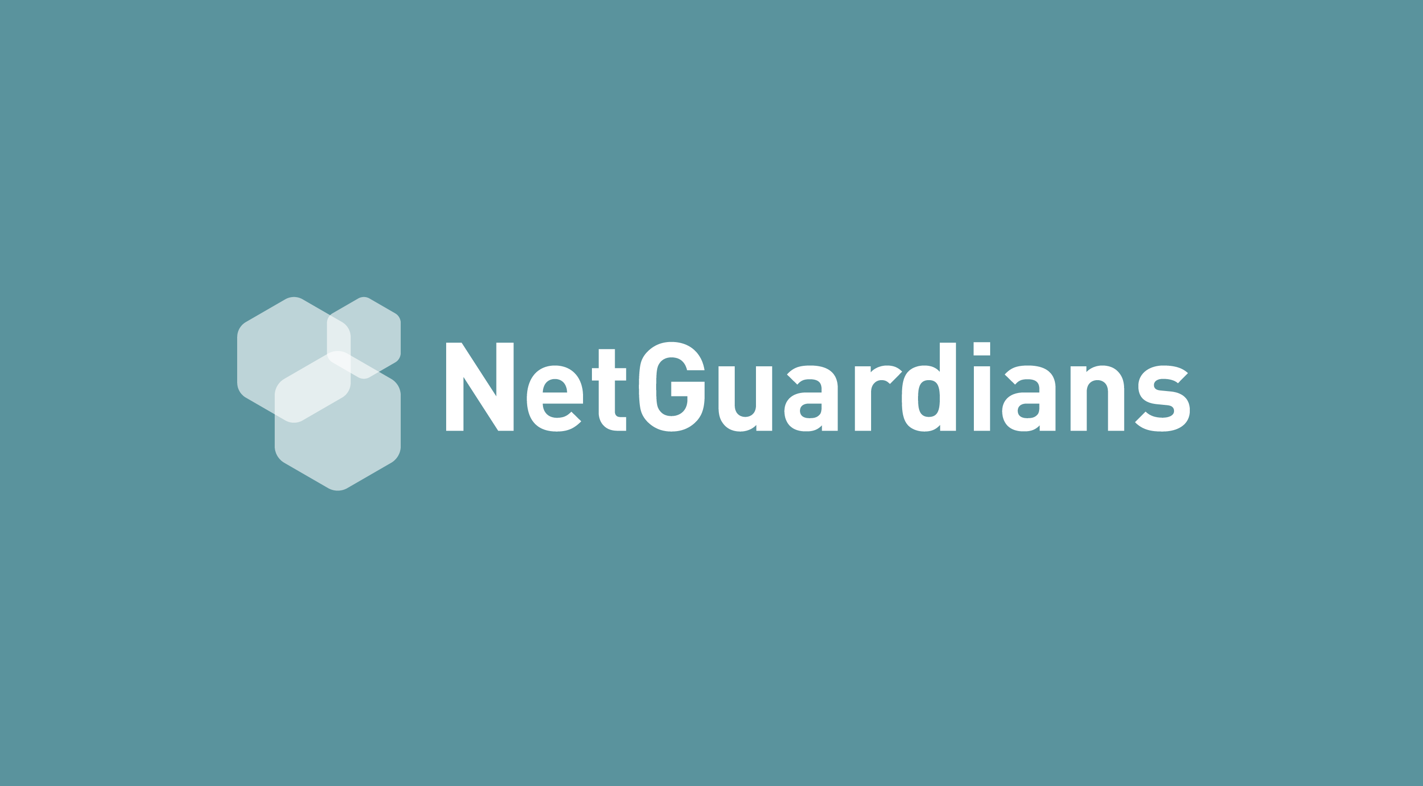 Netguardians Ventures