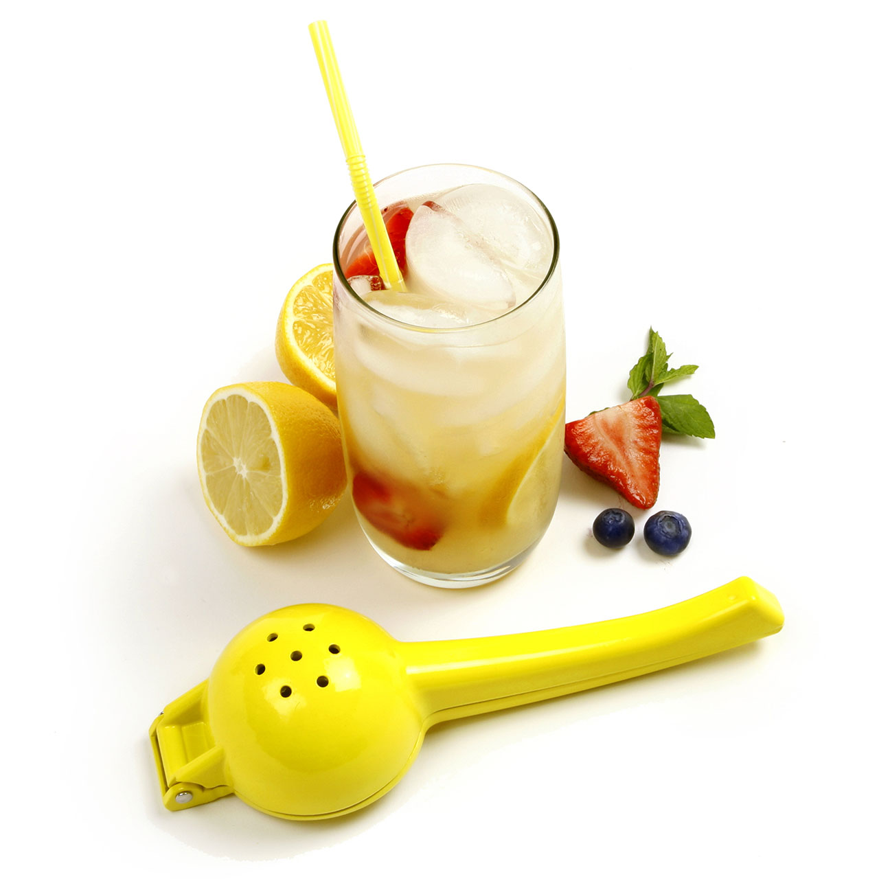 Lemon Juicer Ventures Intl