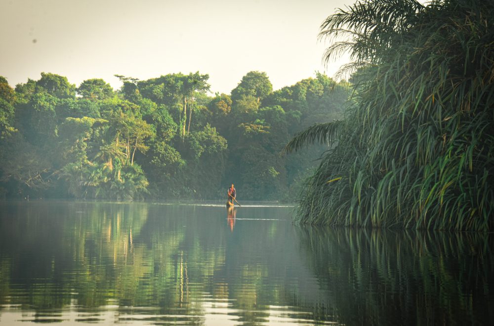 Searching for a Dinosaur Named Mokele Mbembe in the Central African Forests of Lac TeleRepublic