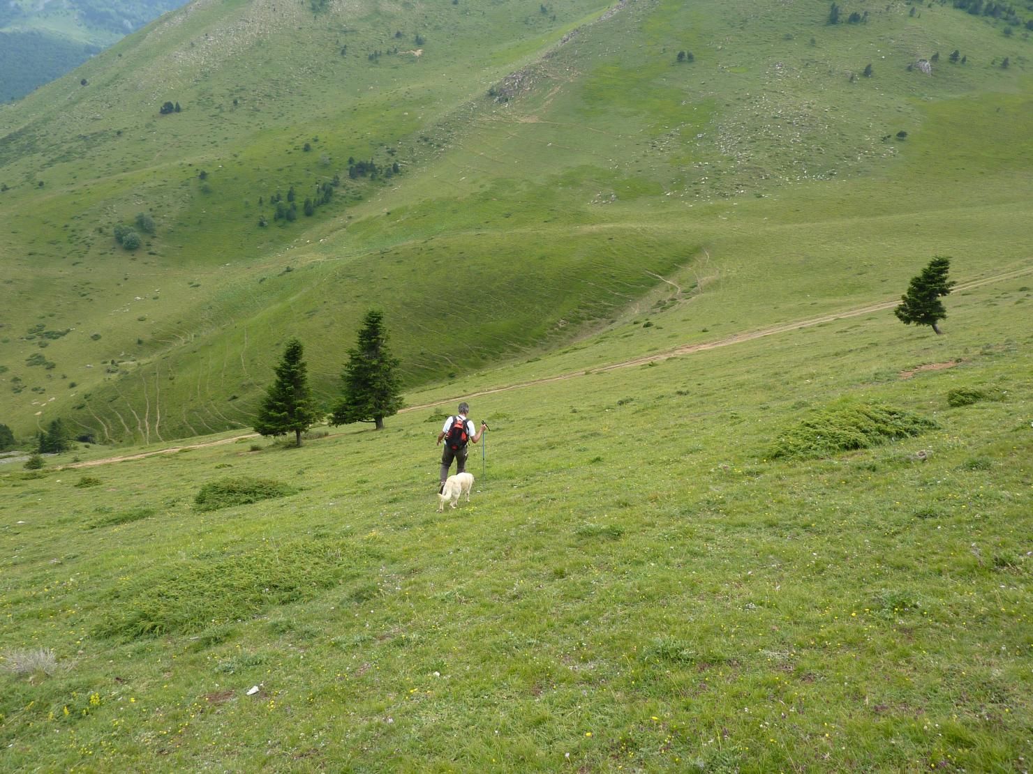 DESCENTE
