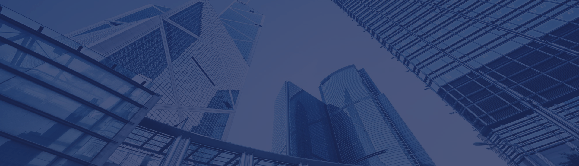 About Us Venus Group International