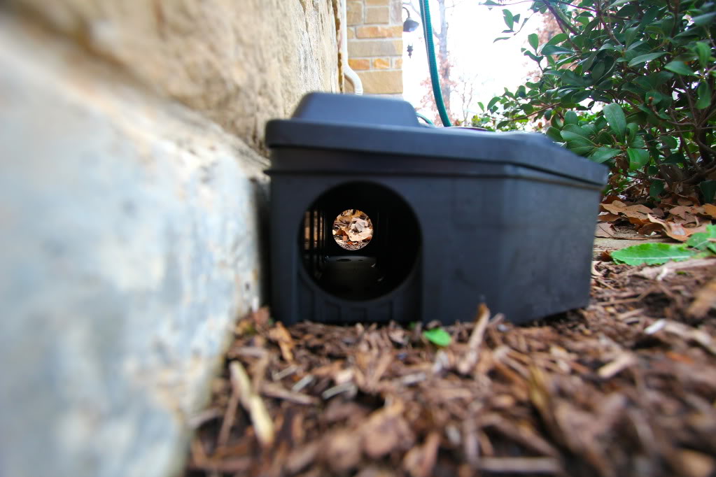 How to Get Rid of Rats | Rodent Control Program | Stay Rodent Free