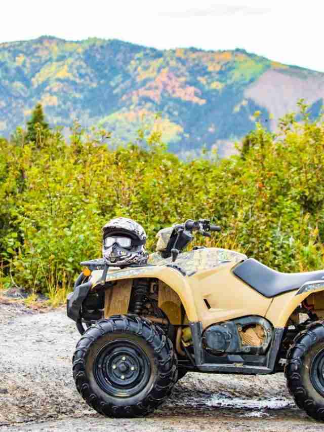 ATV Riding In Blue Ridge, GA VeraVise Outdoor Living