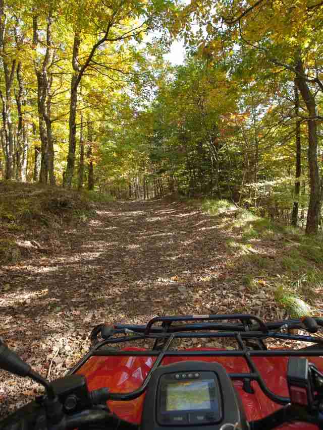 ATV Riding In Orlando, FL VeraVise Outdoor Living