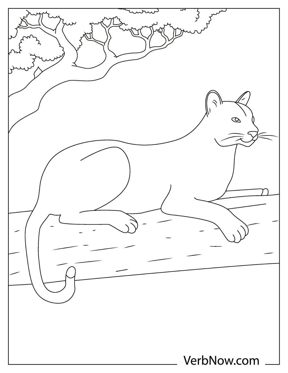22 Free Panther Coloring Pages For Download (Printable PDF)