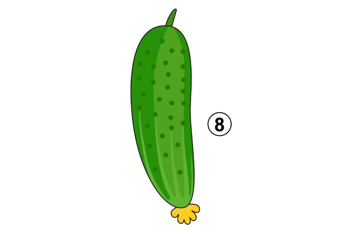 How to Draw a Cucumber in 8 Easy Steps (for Kids) VerbNow