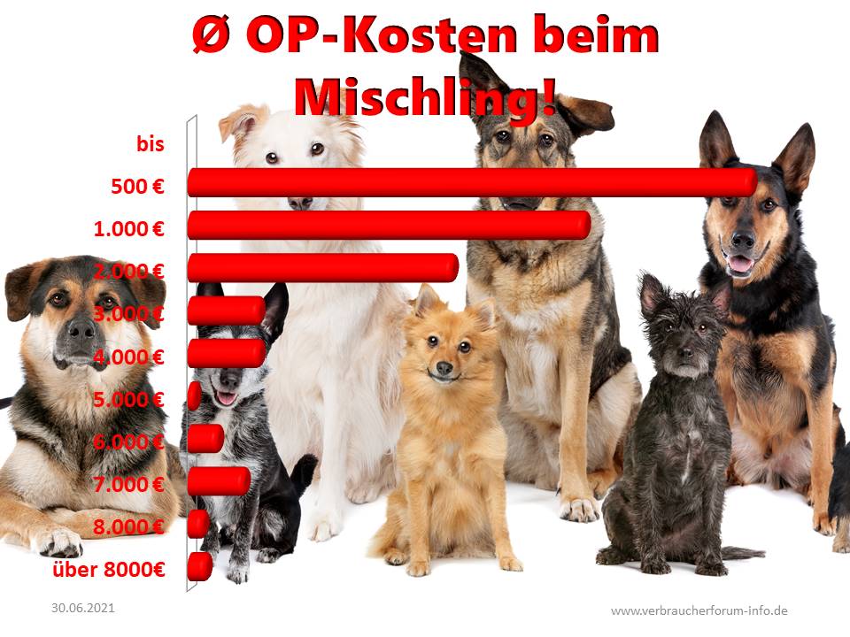 HundeOP Versicherung für Mischling incl. OPStatistik