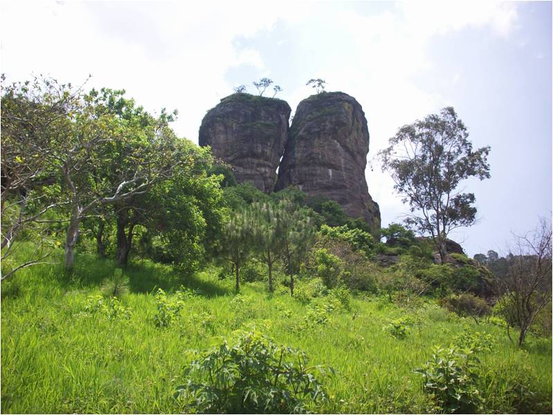 Sustenta la UdeG protección al Parque PeñasOcotillos en Ciudad Guzmán