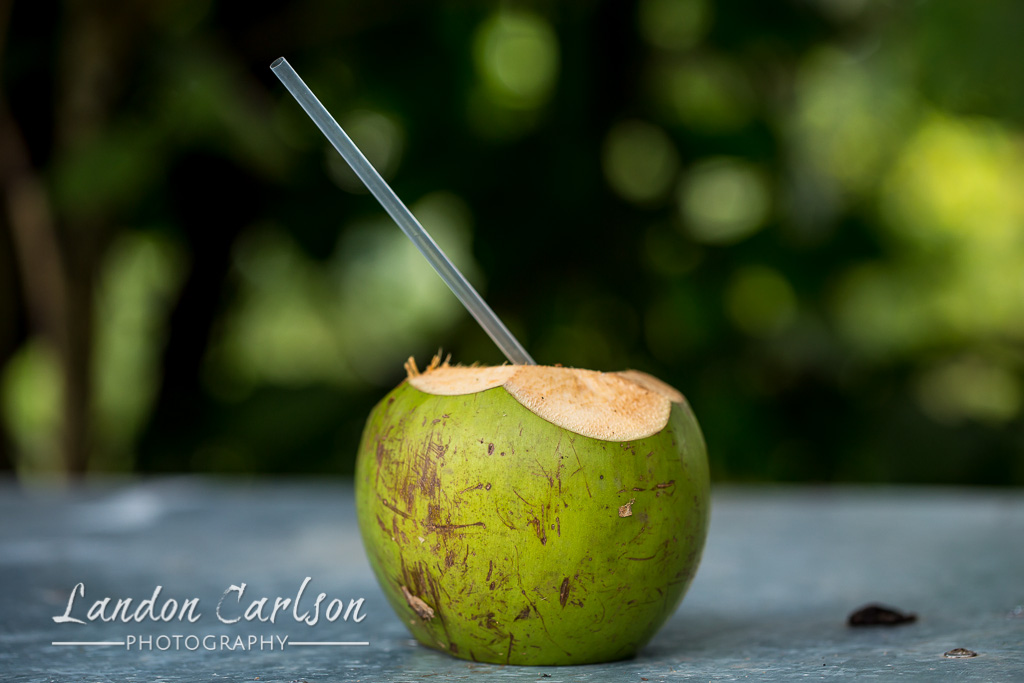Sipping a Cold Coconut in the Jungle Hotel Verde Mar Costa Rica