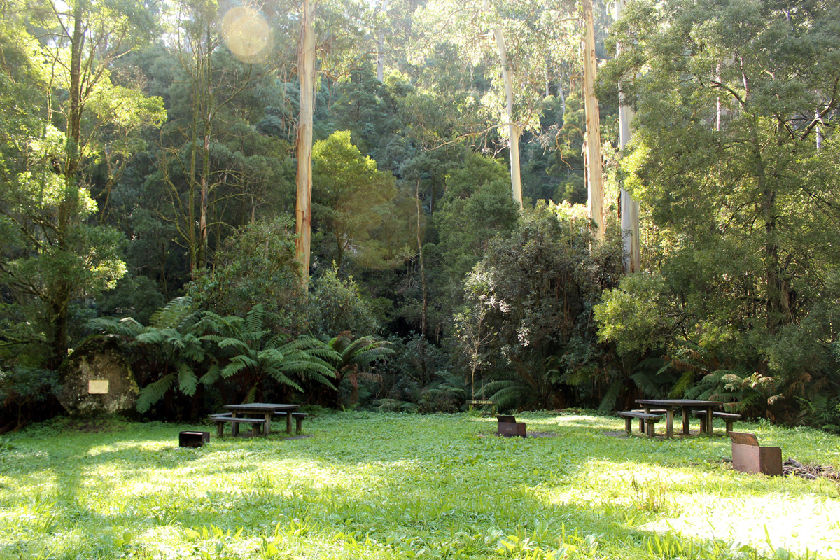 Grey River Road, Great Otway National Park