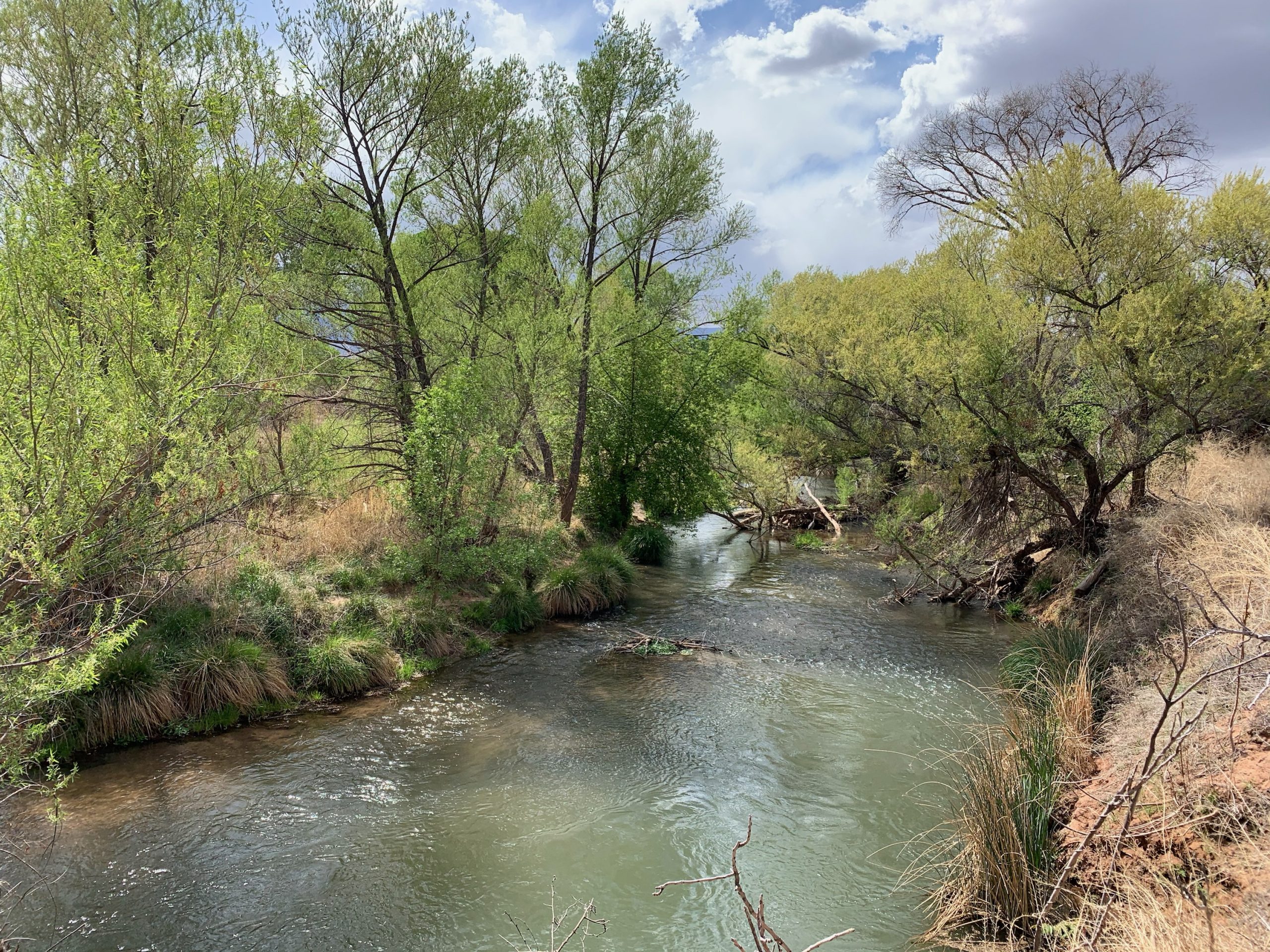 “Dry wells, lower flows raise alarm about the Verde River’s future