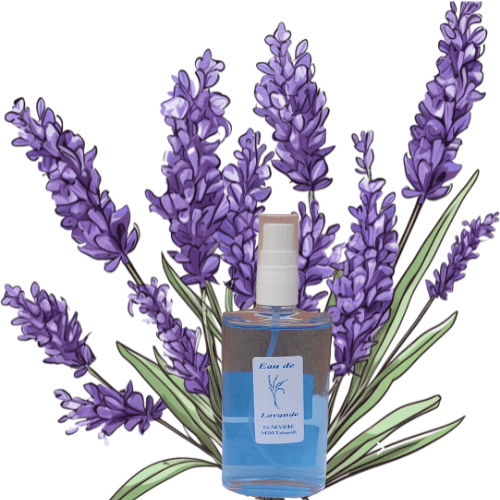 Eau de Lavande Camping Les Roux