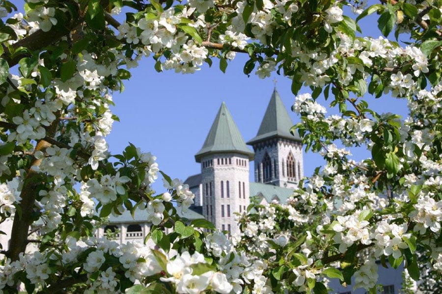 Abbaye de SaintBenoîtduLac Vergers du Québec