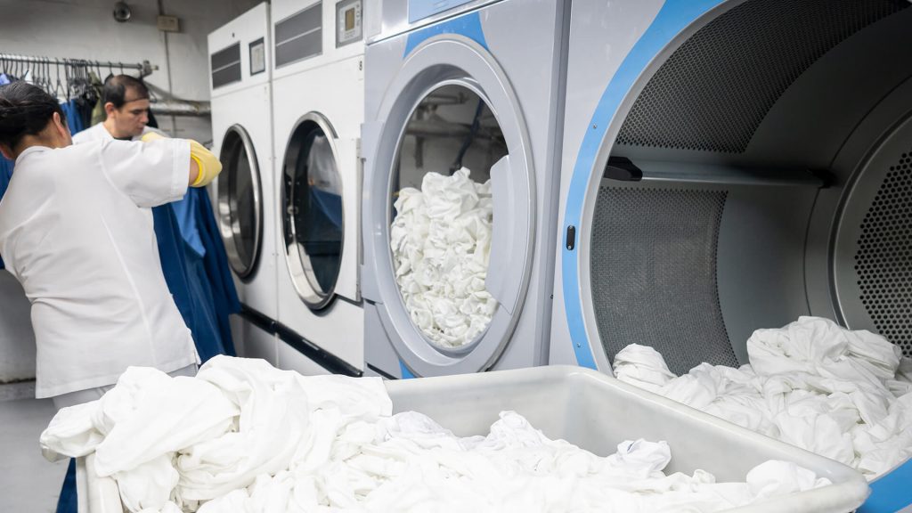 Laundry Wash Cycles Latest News Veridia Australia