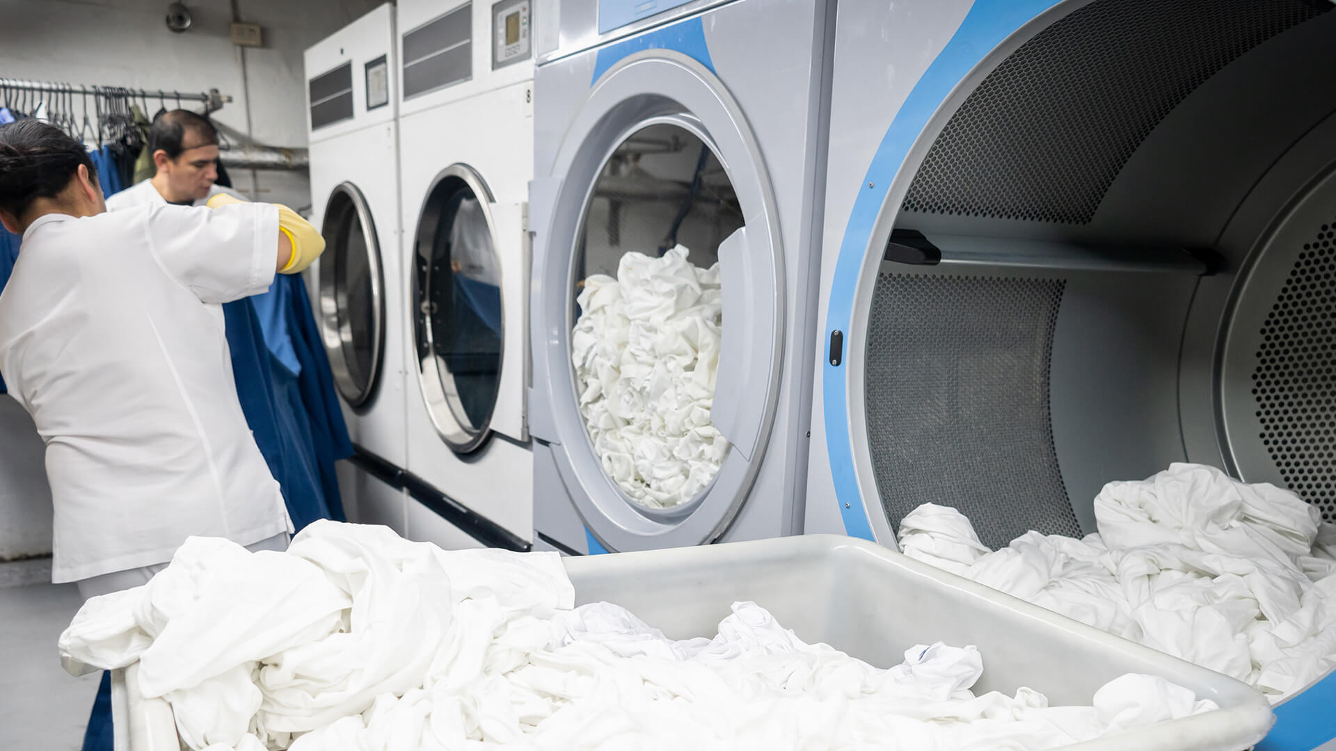 Laundry Wash Cycles Latest News Veridia Australia