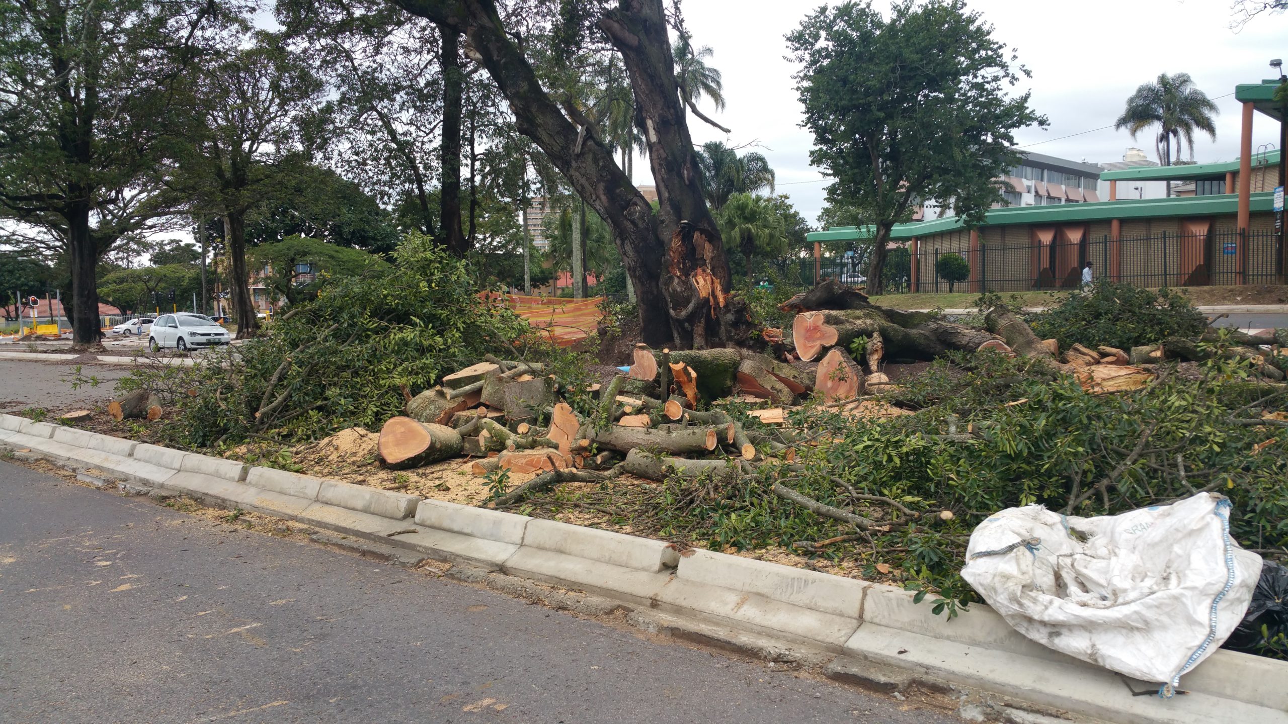 Charlies tree felling and garden service and mini skip
