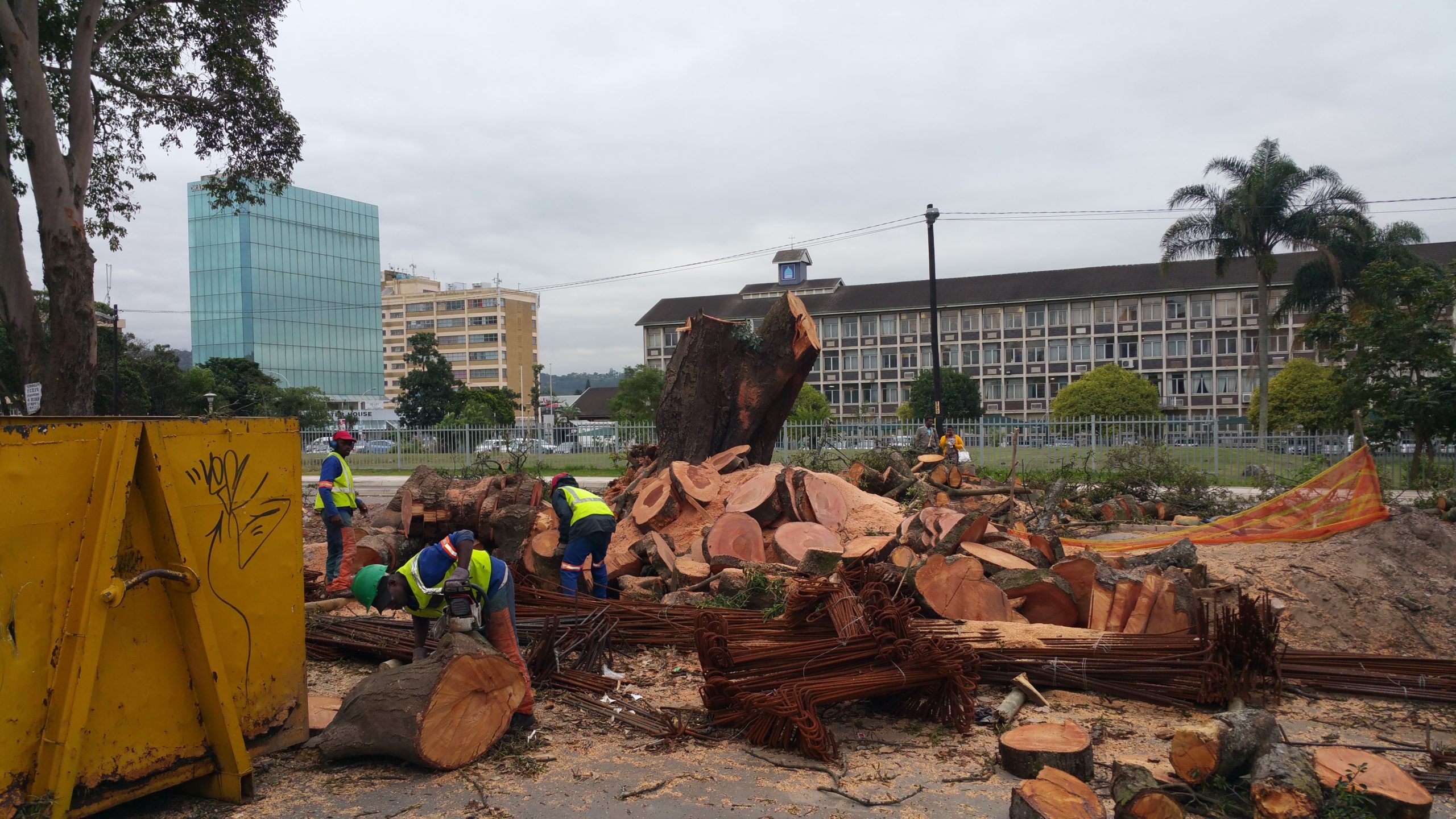Charlies tree felling and garden service and mini skip