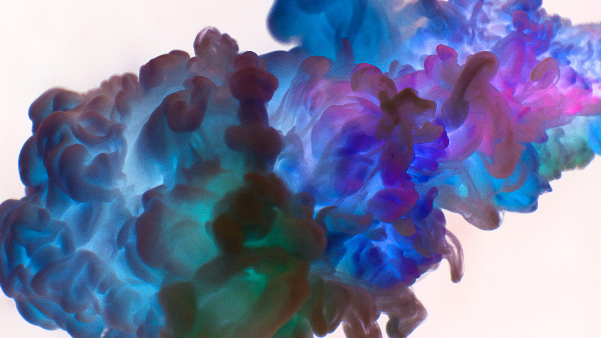 What is Petrol Wash, Perc and Hydrocarbon Dry Cleaning? Verinito