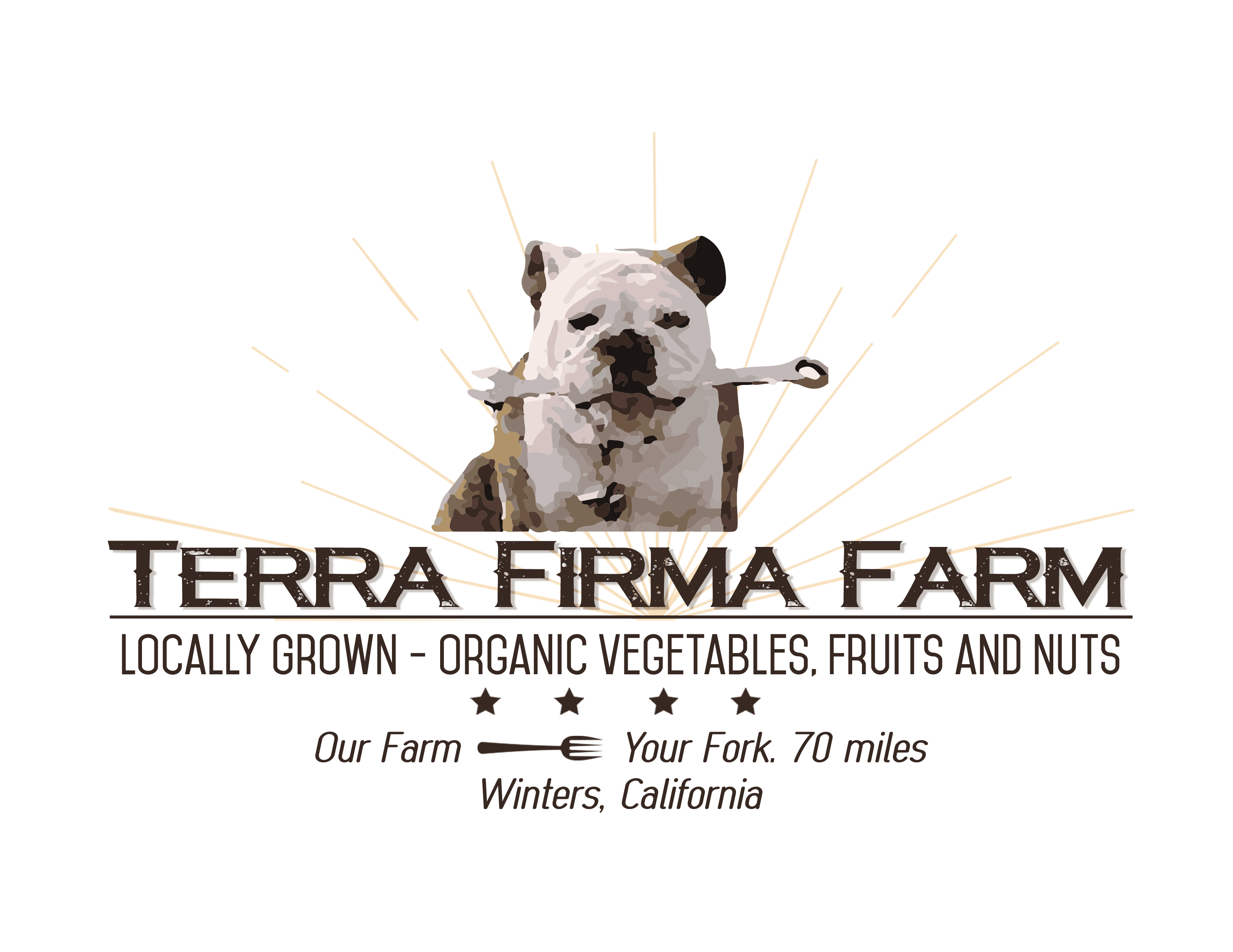 Terra Firma Veritable Vegetable