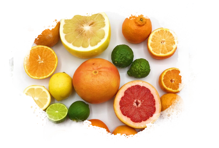 Tangerines, Clementines, & Mandarins Veritable Vegetable