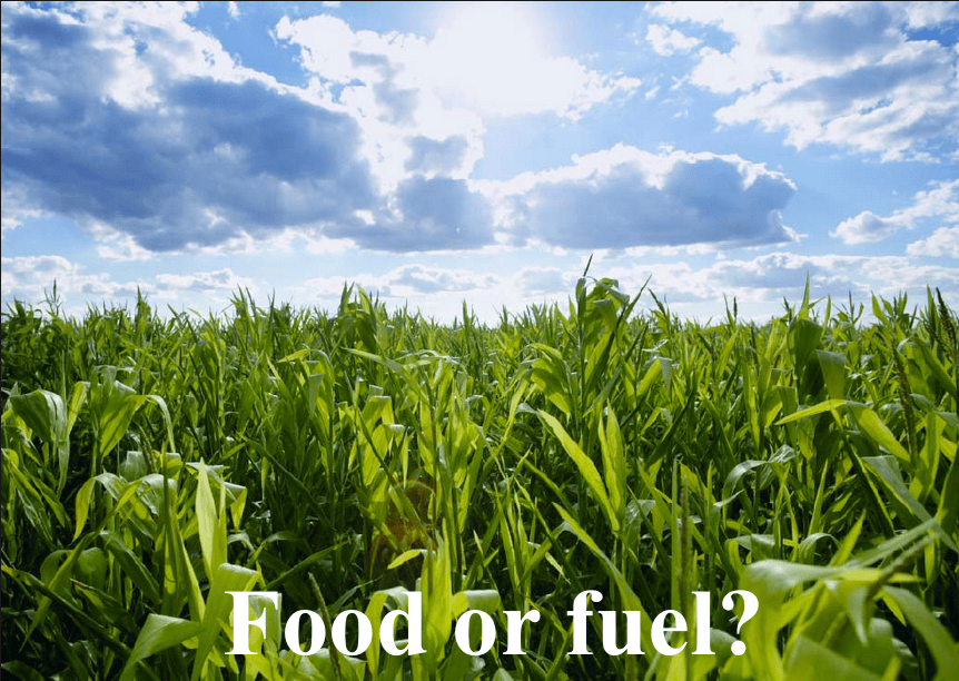 TWO GENERATIONS OF ETHANOL SUBSIDIES ARE ENOUGH We are the drain the