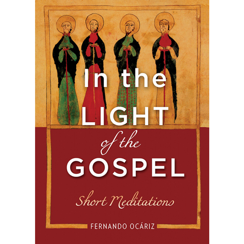 In the Light of the Gospel Short Meditations