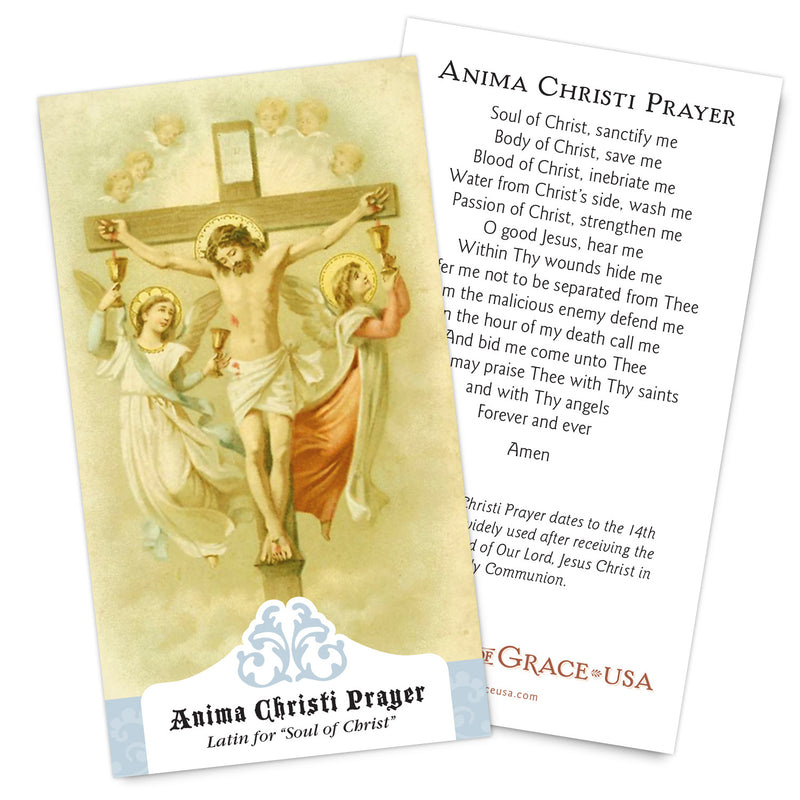 Anima Christi Prayer Card - Veritatis.com.au
