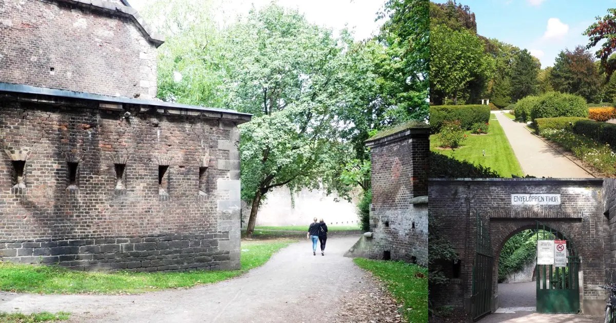 Grüne Oase 4 Gründe, warum Fort X wirklich jeden Besucher staunend