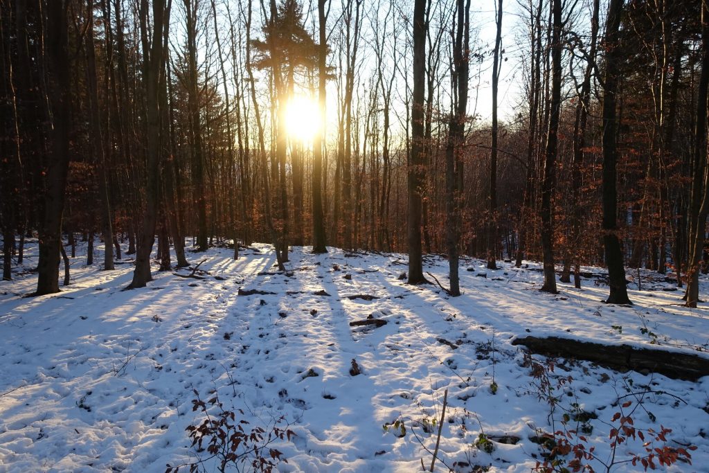 Winterspaß in der Elfringhauser Schweiz Voll Verloved!