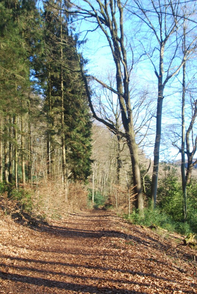 Winterspaß in der Elfringhauser Schweiz Voll Verloved!