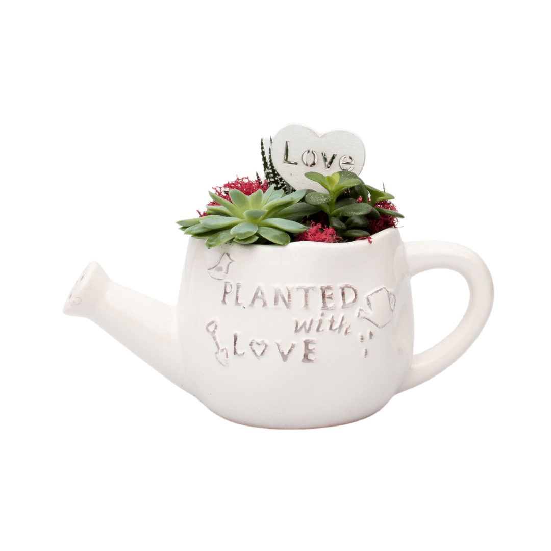 Vermeer Garden Centre & Flower Shop