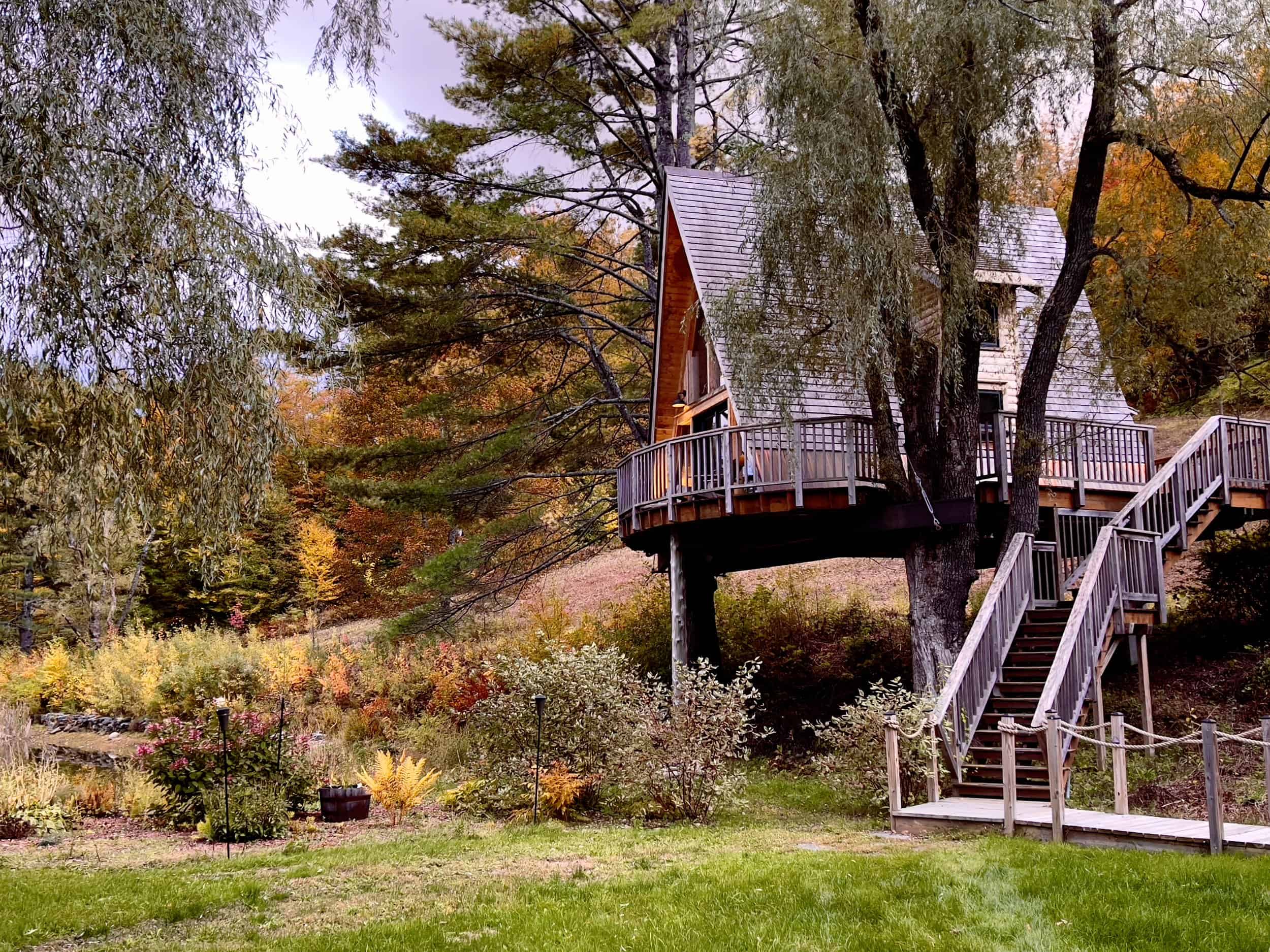 The Treehouse at Willow