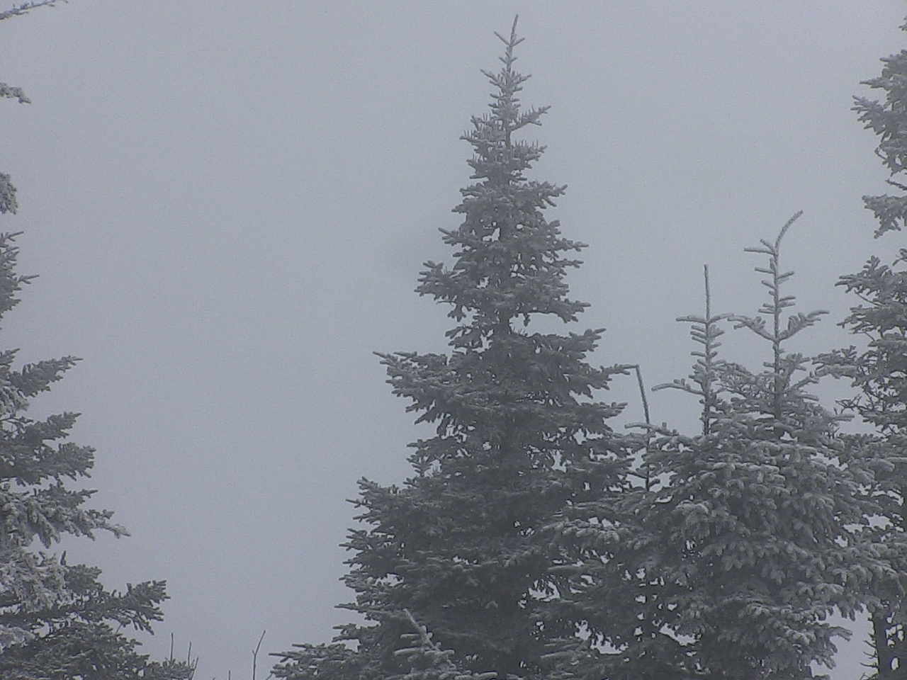 Stowe, VT Weather Cams Vermont Cam