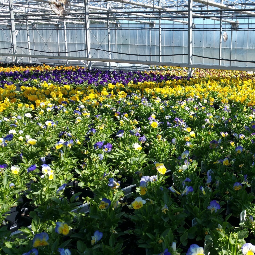 Compost Plus — Vermont Compost Company