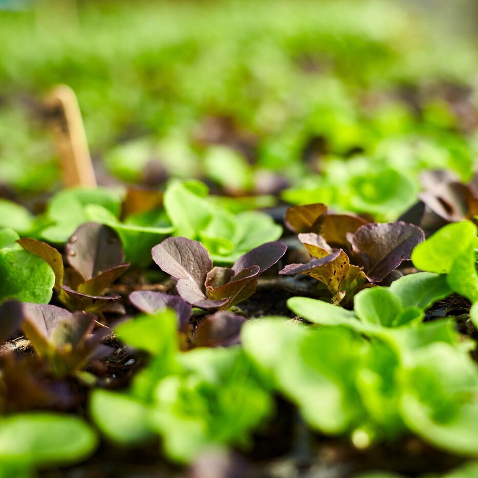 Customer Support — Vermont Compost Company