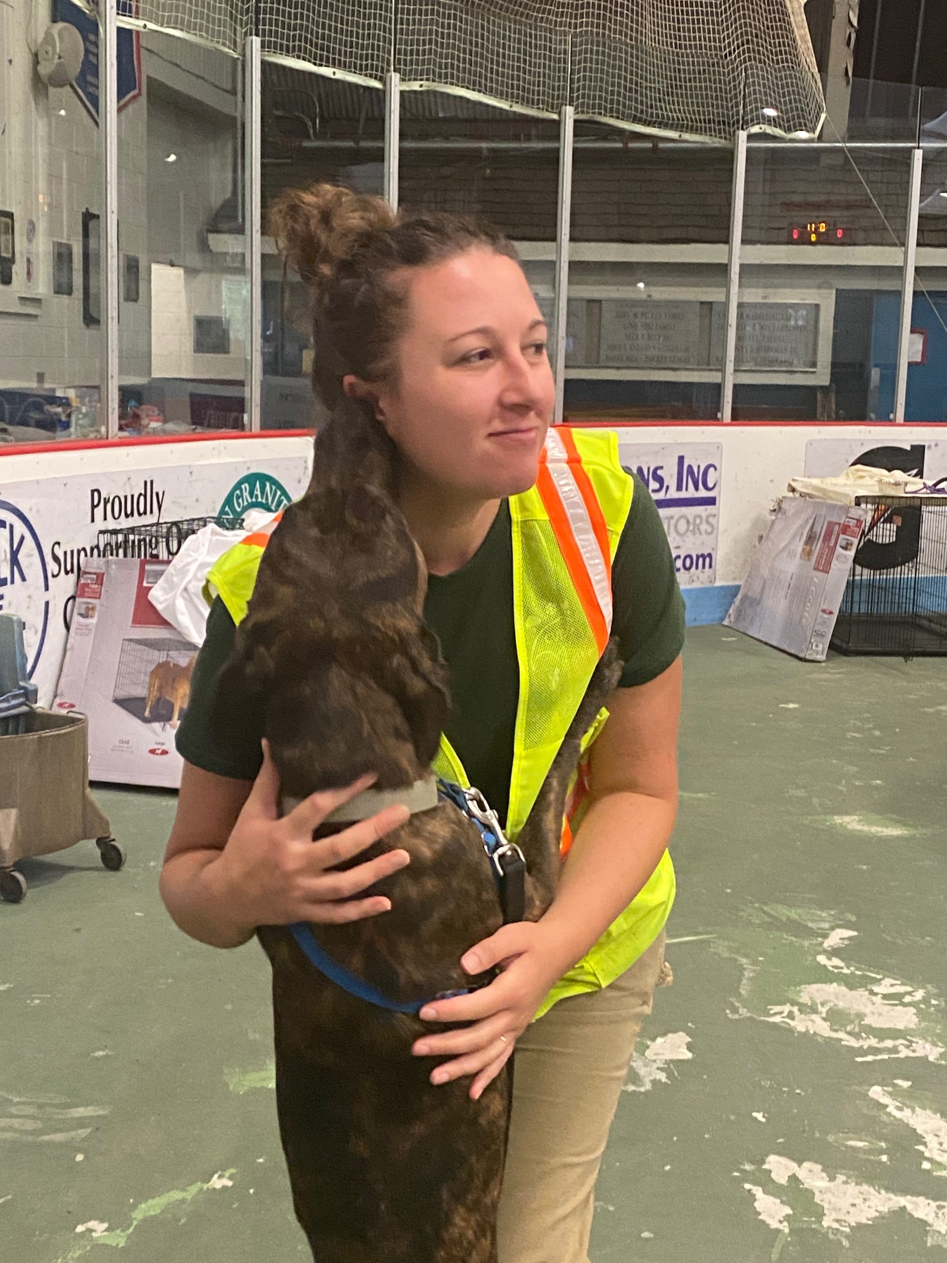 Response Teams Provide Shelter for Pets of Evacuated Vermonters VDART