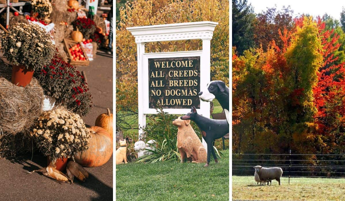 October Festivals in Vermont Vermont Explored