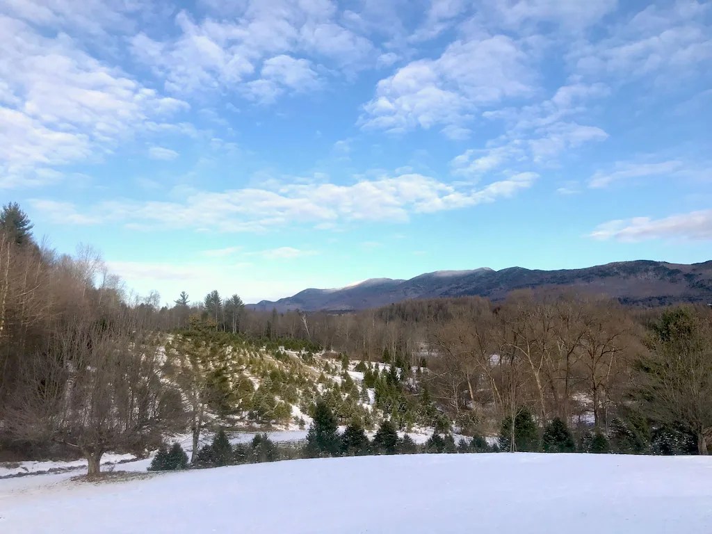 13 Beautiful Christmas Tree Farms in Vermont Where You Can Cut Your Own
