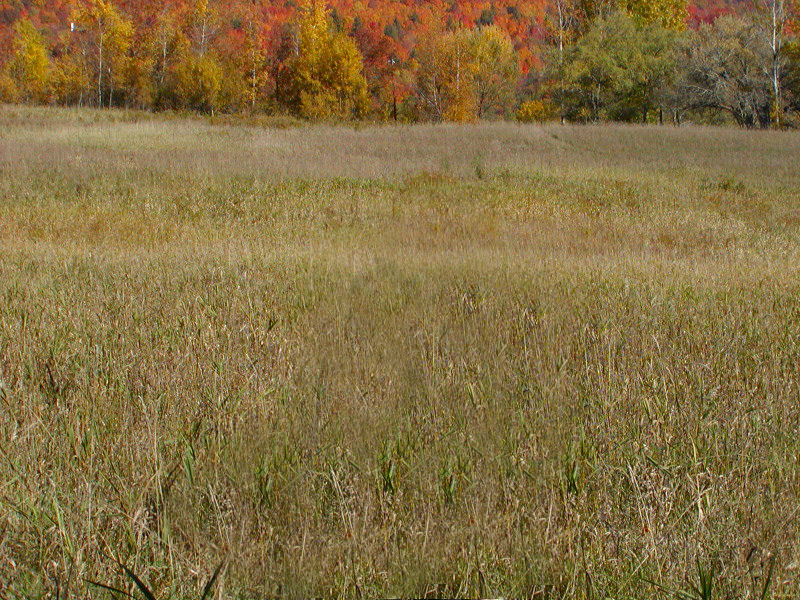 Land for sale in Rochester, Vermont