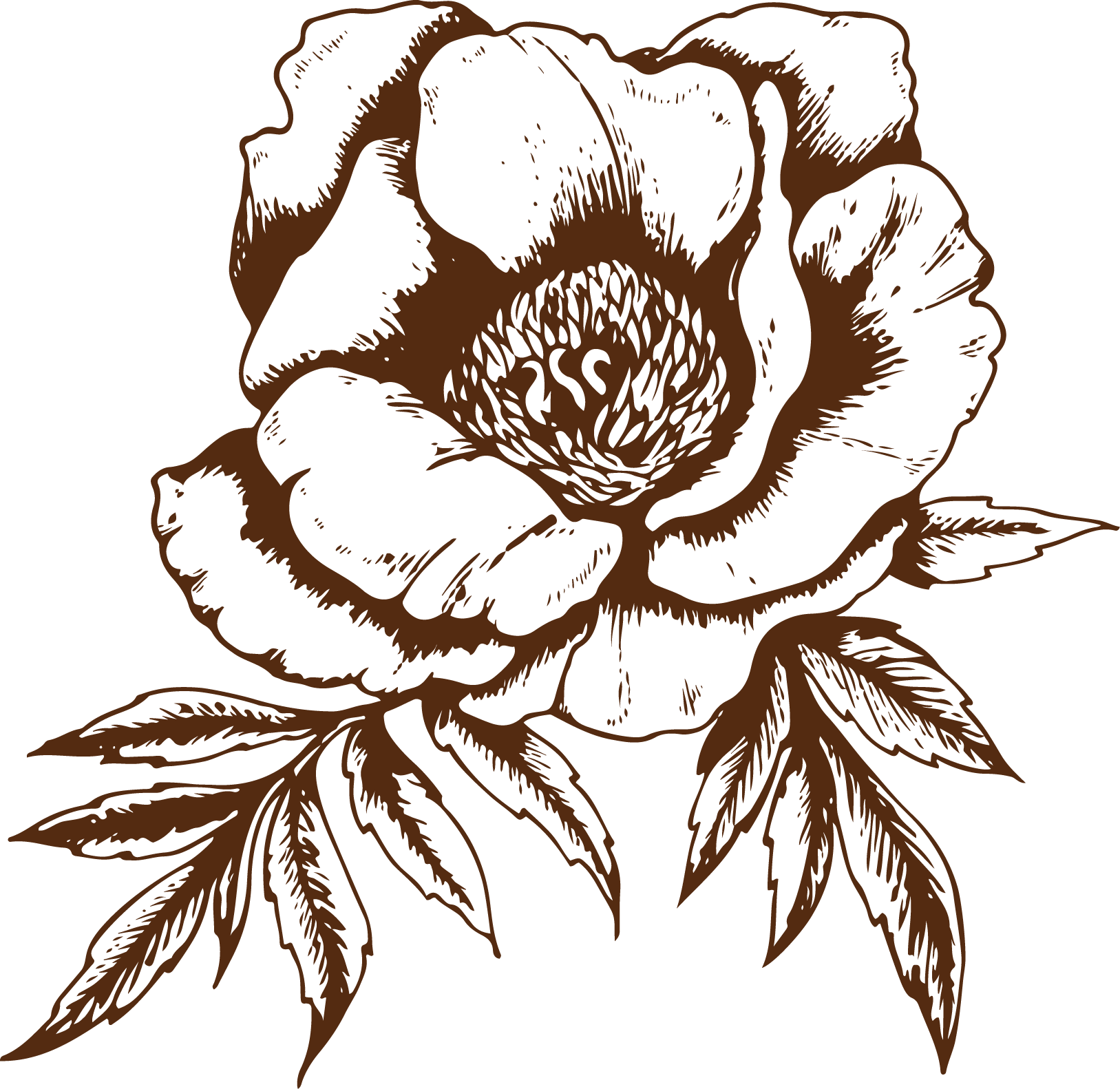 Vero Gusto An authentic, awardwinning, familyrun Italian café