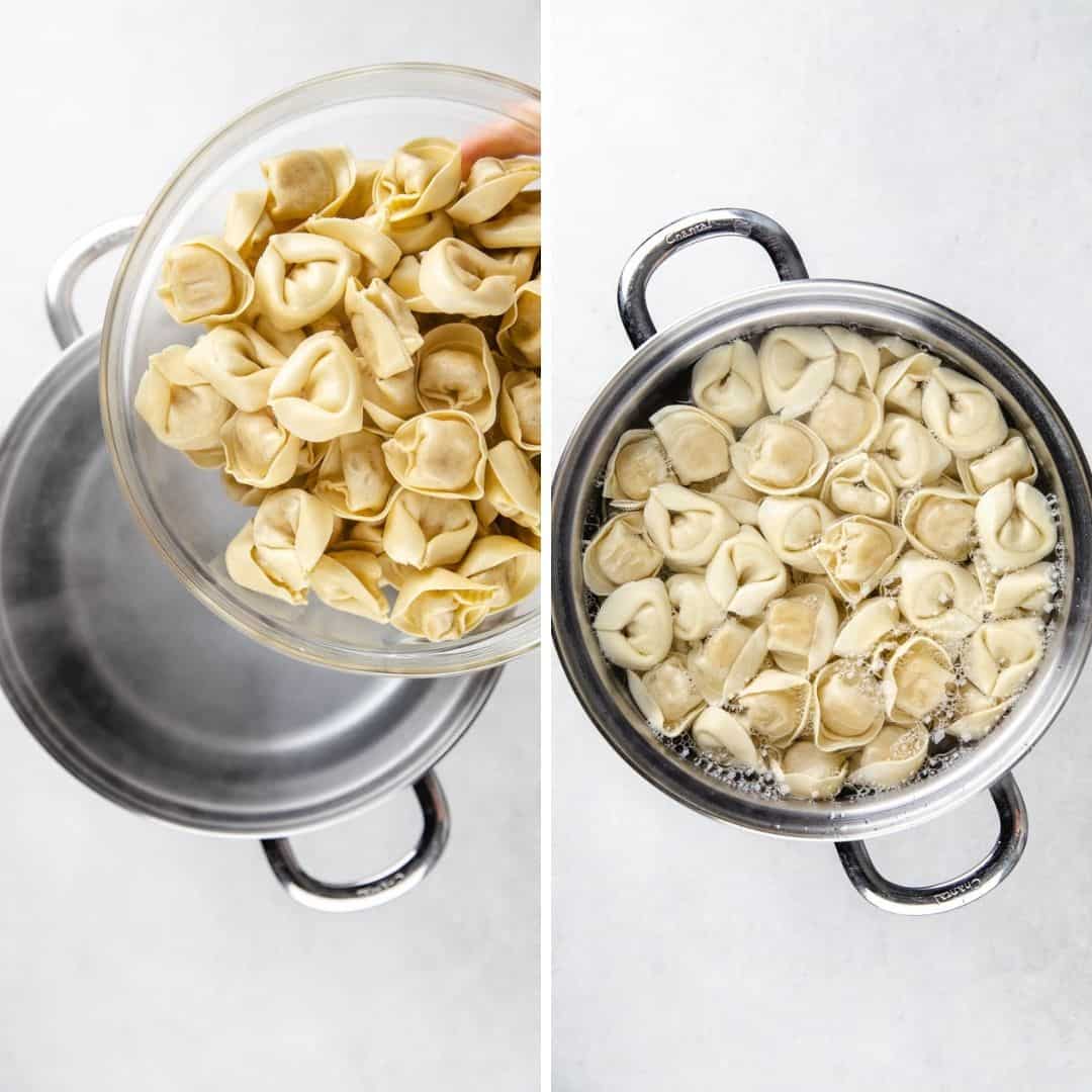 Tortellini in Tomato Sauce Veronika's Kitchen