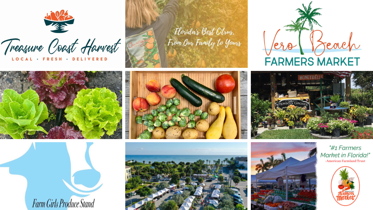 Vero Vine Top 9 Farmers Markets Vero Vine